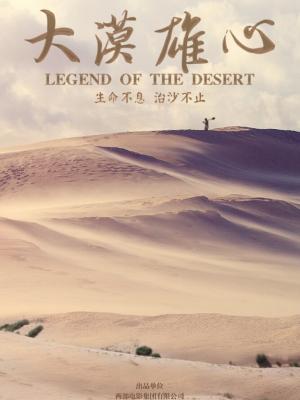 密码追凶